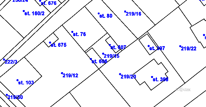 Parcela st. 219/15 v KÚ Vědomice, Katastrální mapa