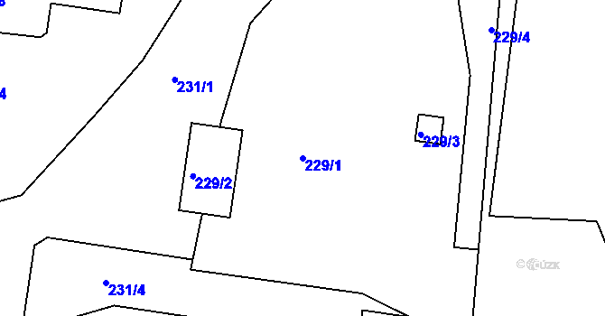 Parcela st. 229/1 v KÚ Vejprty, Katastrální mapa
