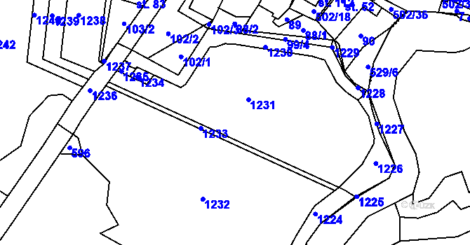 Parcela st. 99/1 v KÚ Dvakačovice, Katastrální mapa