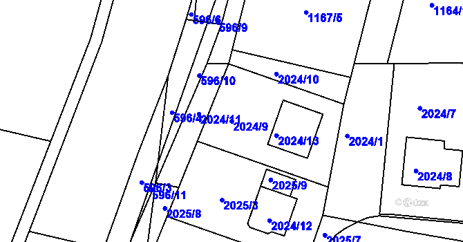 Parcela st. 2024/9 v KÚ Velatice, Katastrální mapa