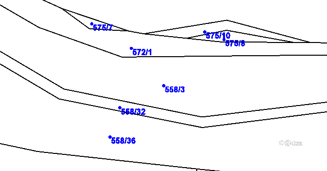 Parcela st. 558/3 v KÚ Velemín, Katastrální mapa