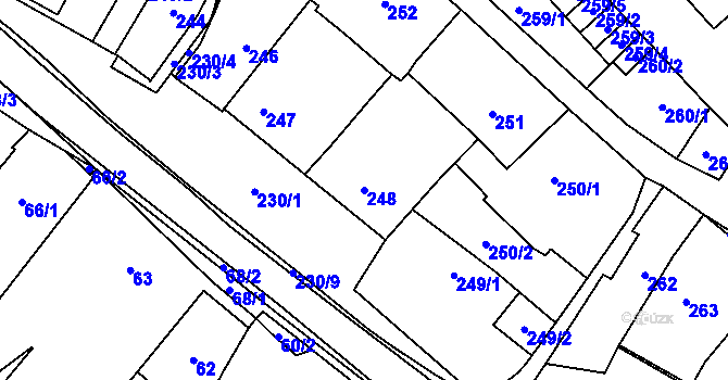 Parcela st. 248 v KÚ Holubice, Katastrální mapa