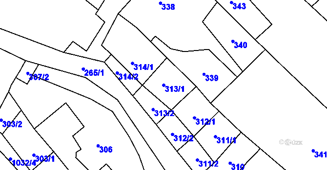 Parcela st. 313/1 v KÚ Holubice, Katastrální mapa