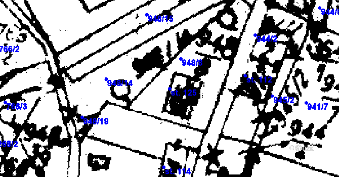 Parcela st. 125 v KÚ Velichov, Katastrální mapa