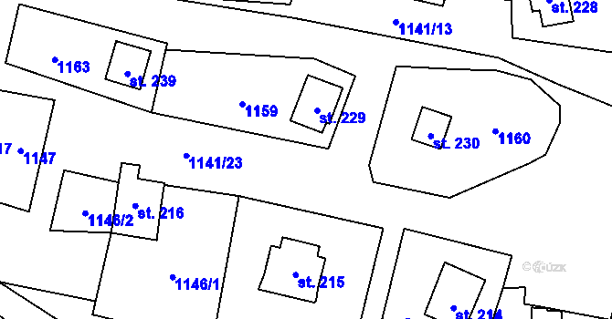 Parcela st. 229 v KÚ Velichov, Katastrální mapa