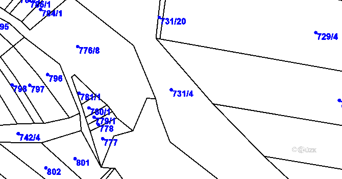Parcela st. 731/4 v KÚ Ostrov u Veliše, Katastrální mapa