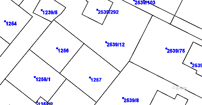 Parcela st. 2539/10 v KÚ Velká Bíteš, Katastrální mapa