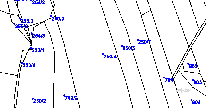 Parcela st. 250/4 v KÚ Velká Chmelištná, Katastrální mapa