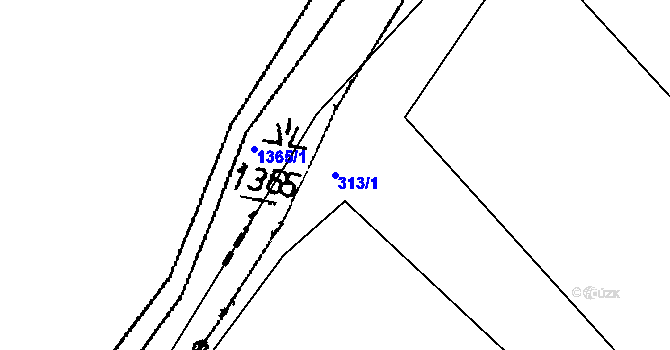 Parcela st. 313/1 v KÚ Velká Javorská, Katastrální mapa