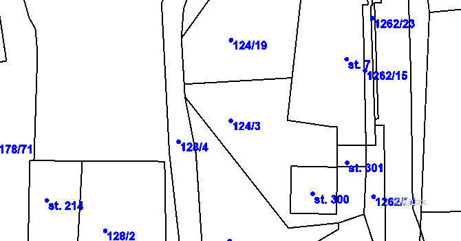 Parcela st. 124/3 v KÚ Velká Jesenice, Katastrální mapa