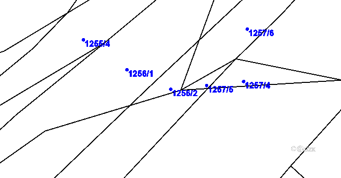 Parcela st. 1256/2 v KÚ Velká Polom, Katastrální mapa