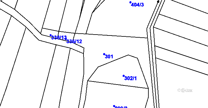 Parcela st. 301 v KÚ Velká Roudka, Katastrální mapa