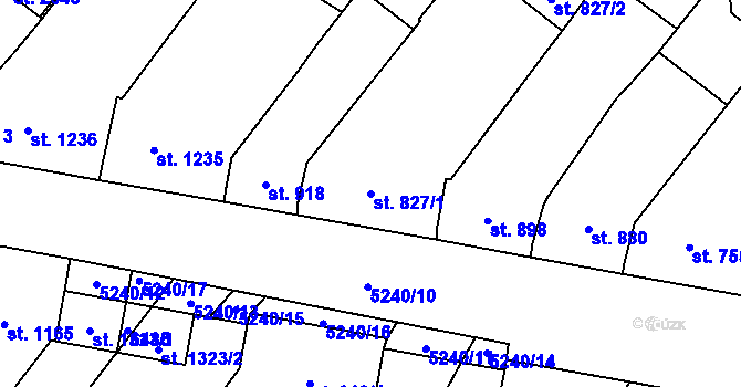 Parcela st. 827/1 v KÚ Velké Bílovice, Katastrální mapa