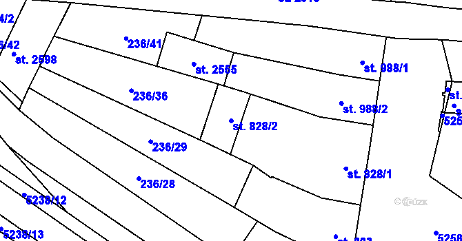 Parcela st. 828/2 v KÚ Velké Bílovice, Katastrální mapa