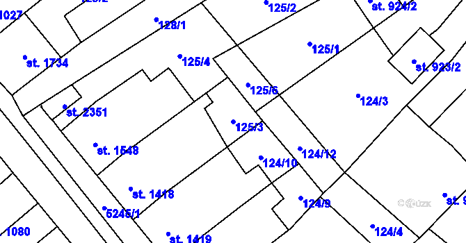 Parcela st. 125/3 v KÚ Velké Bílovice, Katastrální mapa