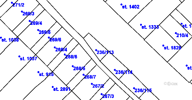 Parcela st. 236/113 v KÚ Velké Bílovice, Katastrální mapa
