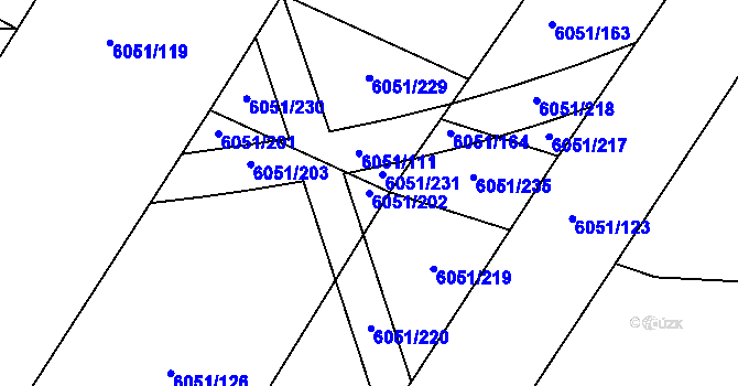 Parcela st. 6051/202 v KÚ Velké Meziříčí, Katastrální mapa