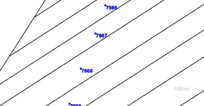 Parcela st. 4619/24 v KÚ Velké Pavlovice, Katastrální mapa