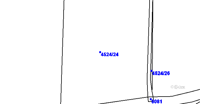 Parcela st. 4524/24 v KÚ Velké Pavlovice, Katastrální mapa