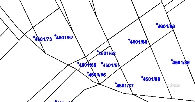 Parcela st. 4601/62 v KÚ Velké Pavlovice, Katastrální mapa