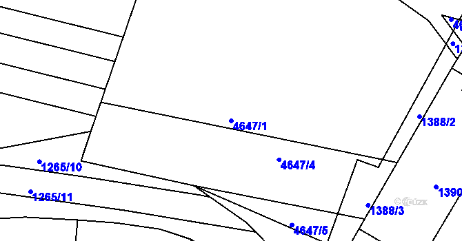 Parcela st. 4647/1 v KÚ Velké Pavlovice, Katastrální mapa