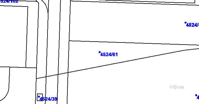 Parcela st. 4524/61 v KÚ Velké Pavlovice, Katastrální mapa