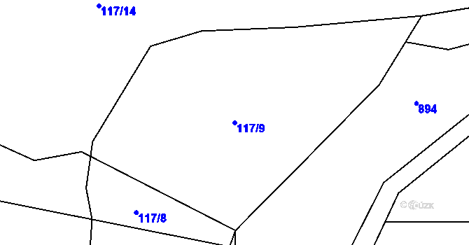 Parcela st. 117/9 v KÚ Velký Jeníkov, Katastrální mapa