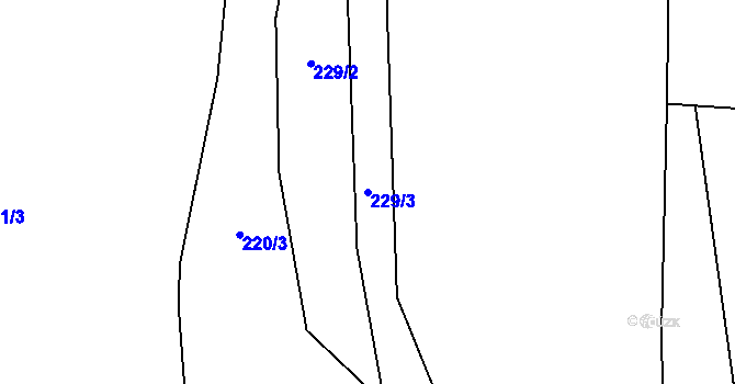 Parcela st. 229/3 v KÚ Velký Jeníkov, Katastrální mapa