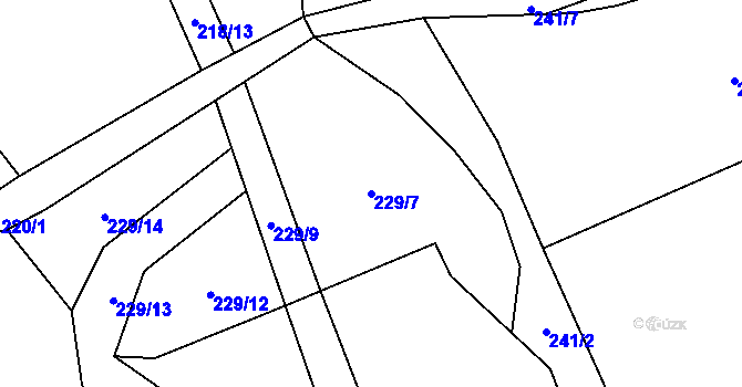 Parcela st. 229/7 v KÚ Velký Jeníkov, Katastrální mapa