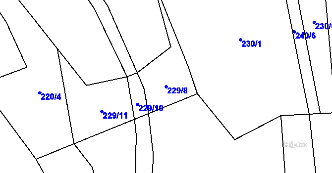 Parcela st. 229/8 v KÚ Velký Jeníkov, Katastrální mapa