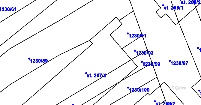 Parcela st. 267/1 v KÚ Velký Ořechov, Katastrální mapa