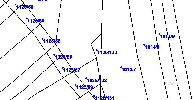 Parcela st. 1125/133 v KÚ Velký Ořechov, Katastrální mapa