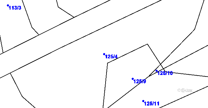 Parcela st. 125/4 v KÚ Velký Rybník u Humpolce, Katastrální mapa