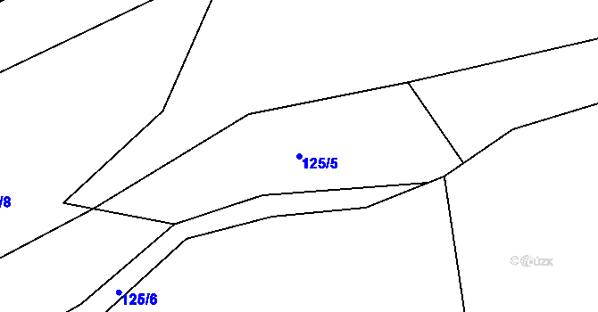 Parcela st. 125/5 v KÚ Velký Rybník u Humpolce, Katastrální mapa