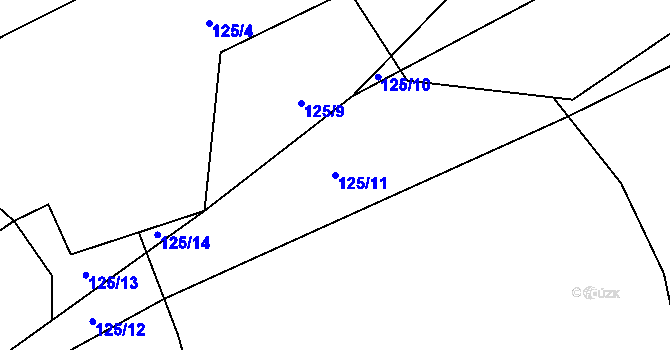Parcela st. 125/11 v KÚ Velký Rybník u Humpolce, Katastrální mapa
