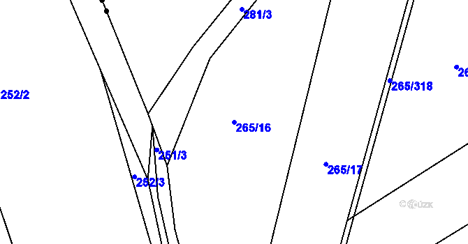 Parcela st. 265/16 v KÚ Velký Třebešov, Katastrální mapa