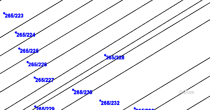 Parcela st. 265/228 v KÚ Velký Třebešov, Katastrální mapa