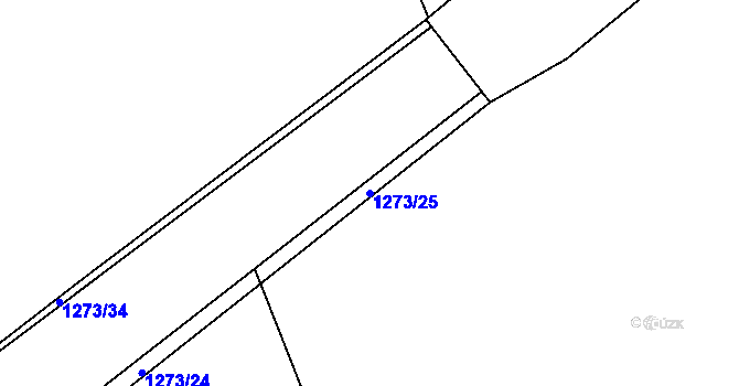 Parcela st. 1273/25 v KÚ Velký Týnec, Katastrální mapa