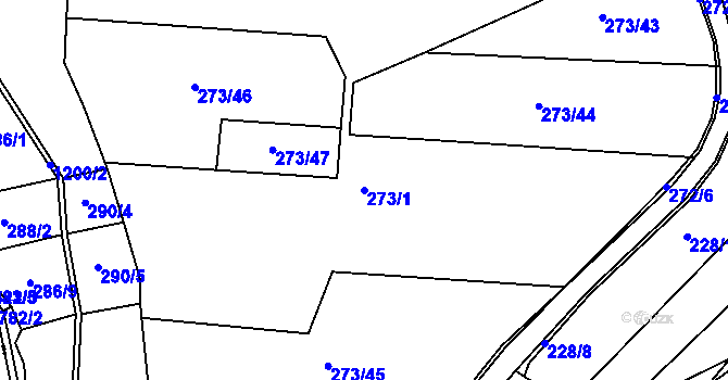 Parcela st. 273/1 v KÚ Velký Valtinov, Katastrální mapa