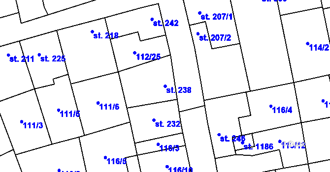 Parcela st. 238 v KÚ Veltrusy, Katastrální mapa