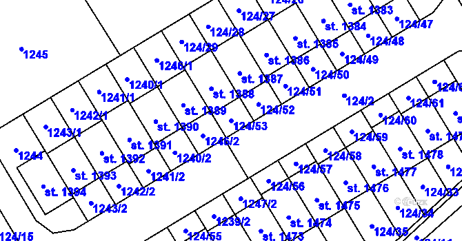 Parcela st. 124/53 v KÚ Veltrusy, Katastrální mapa