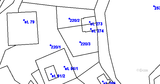Parcela st. 220/3 v KÚ Vernéřov u Aše, Katastrální mapa