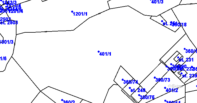 Parcela st. 401/1 v KÚ Vernéřov u Aše, Katastrální mapa