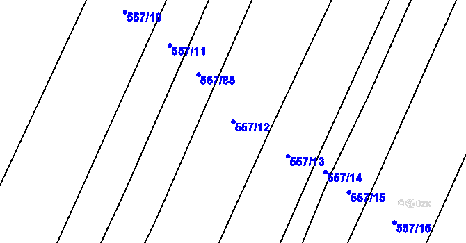 Parcela st. 557/12 v KÚ Čeraz, Katastrální mapa