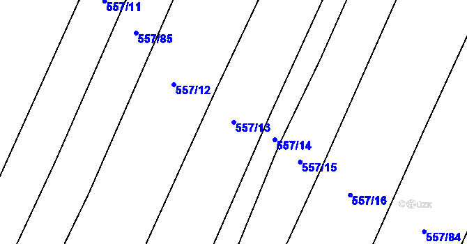 Parcela st. 557/13 v KÚ Čeraz, Katastrální mapa