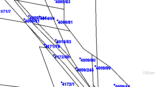 Parcela st. 4009/224 v KÚ Veselí nad Lužnicí, Katastrální mapa