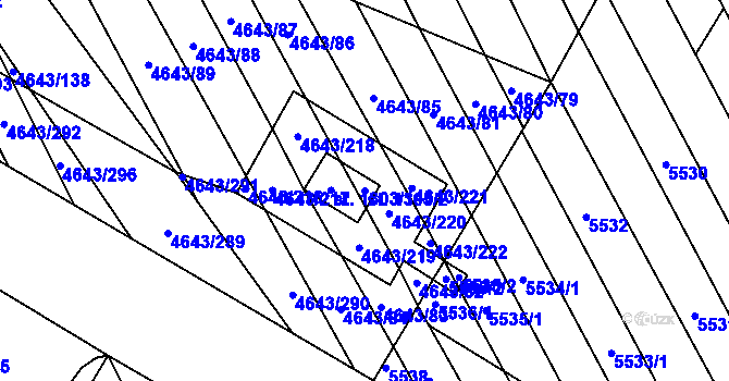 Parcela st. 1303/2 v KÚ Veselí-Předměstí, Katastrální mapa