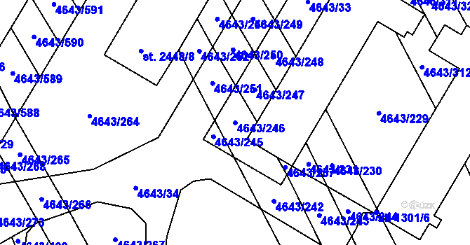 Parcela st. 4643/246 v KÚ Veselí-Předměstí, Katastrální mapa