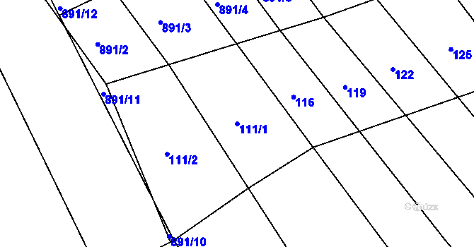 Parcela st. 111/1 v KÚ Zarazice, Katastrální mapa