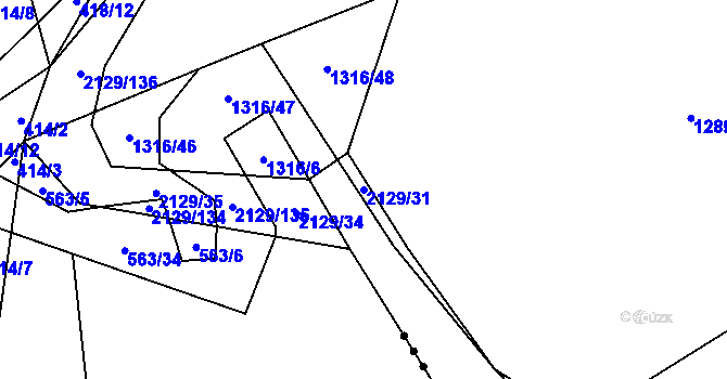 Parcela st. 2129/31 v KÚ Rankov u Trhových Svinů, Katastrální mapa